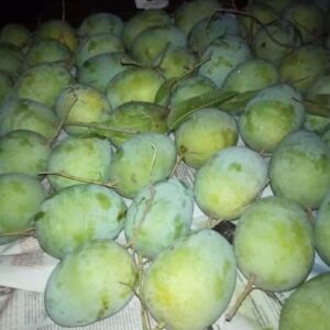 হিমসাগর আম ১ কেজি